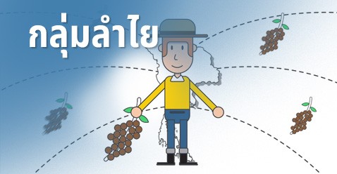 กลุ่มลำไย